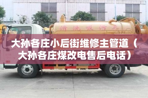 大孙各庄小后街维修主管道（大孙各庄煤改电售后电话）