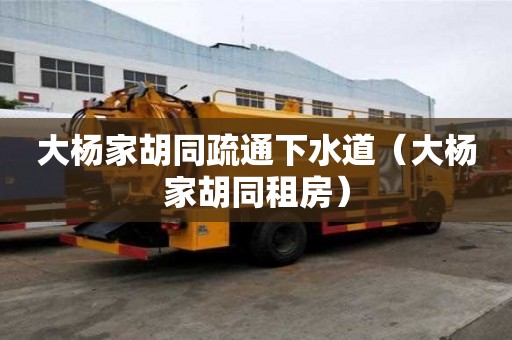 大杨家胡同疏通下水道（大杨家胡同租房）