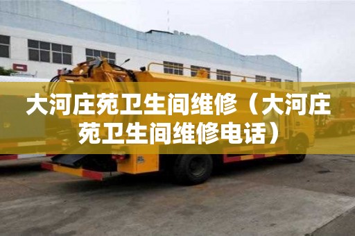 大河庄苑卫生间维修（大河庄苑卫生间维修电话）