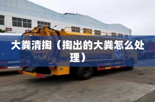大粪清掏（掏出的大粪怎么处理）