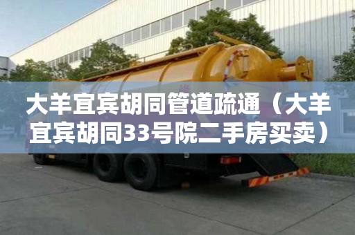 大羊宜宾胡同管道疏通（大羊宜宾胡同33号院二手房买卖）