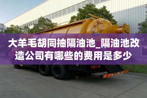 大羊毛胡同抽隔油池_隔油池改造公司有哪些的费用是多少