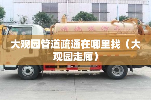 大观园管道疏通在哪里找（大观园走廊）