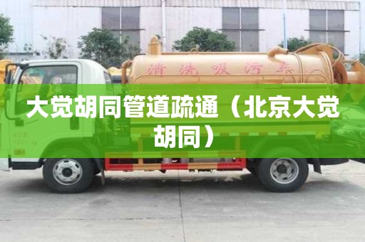 大觉胡同管道疏通（北京大觉胡同）