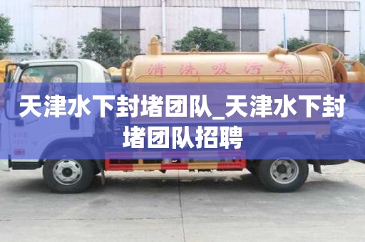 天津水下封堵团队_天津水下封堵团队招聘 天津水下封堵团队_天津水下封堵团队招聘