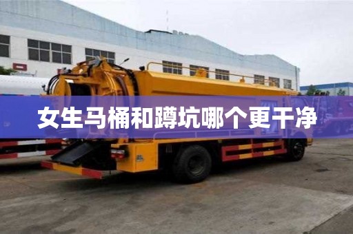 女生马桶和蹲坑哪个更干净