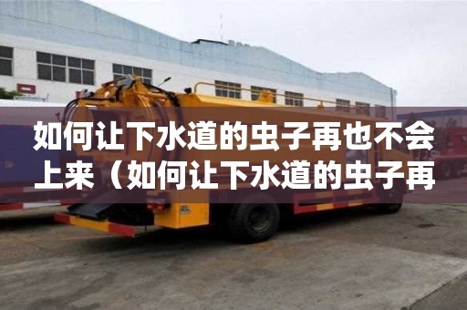 如何让下水道的虫子再也不会上来（如何让下水道的虫子再也不会上来了）