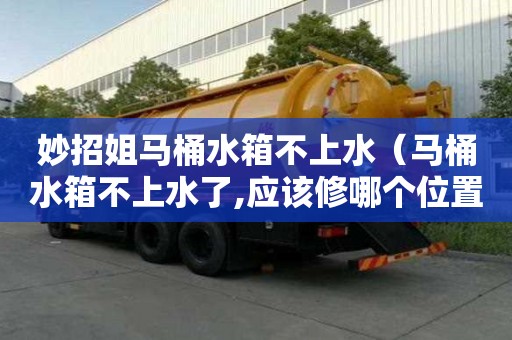妙招姐马桶水箱不上水（马桶水箱不上水了,应该修哪个位置呢?）