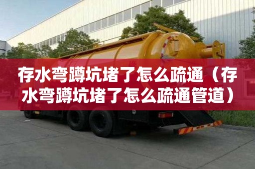 存水弯蹲坑堵了怎么疏通（存水弯蹲坑堵了怎么疏通管道）