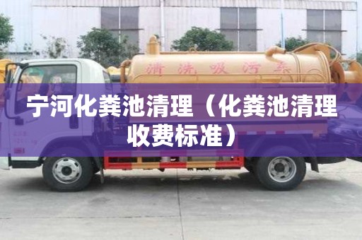 宁河化粪池清理（化粪池清理收费标准）