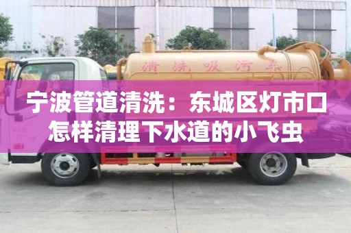 宁波管道清洗：东城区灯市口怎样清理下水道的小飞虫