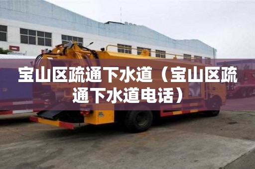 宝山区疏通下水道（宝山区疏通下水道电话）
