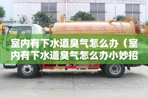 室内有下水道臭气怎么办（室内有下水道臭气怎么办小妙招）