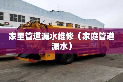 家里管道漏水维修（家庭管道漏水）