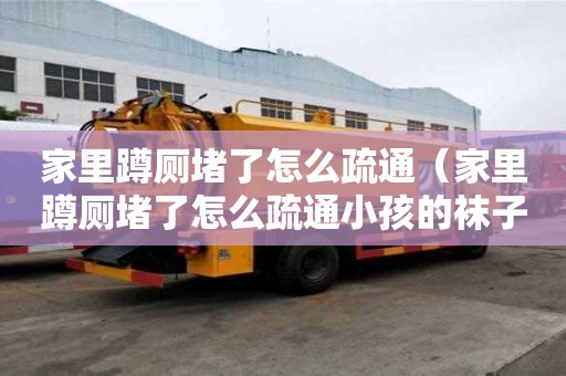 家里蹲厕堵了怎么疏通（家里蹲厕堵了怎么疏通小孩的袜子短裤掉进去了）