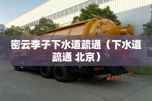 密云李子下水道疏通（下水道疏通 北京）