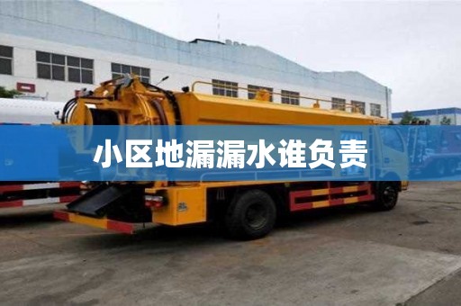 小区地漏漏水谁负责