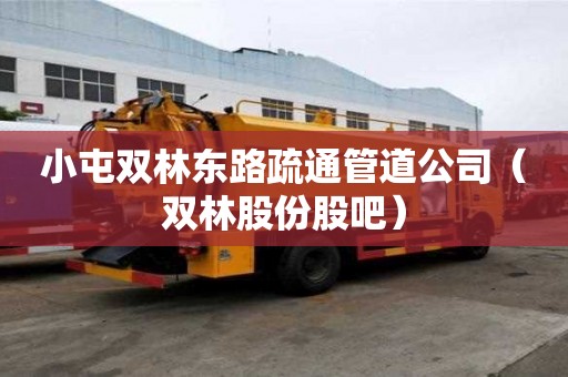 小屯双林东路疏通管道公司（双林股份股吧）