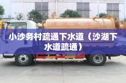 小沙务村疏通下水道（沙湖下水道疏通）