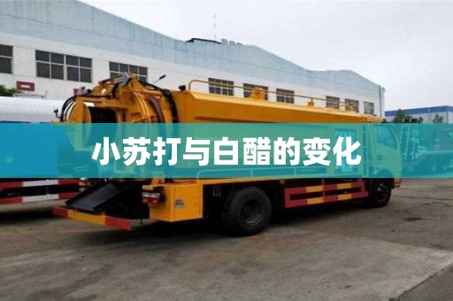 小苏打与白醋的变化