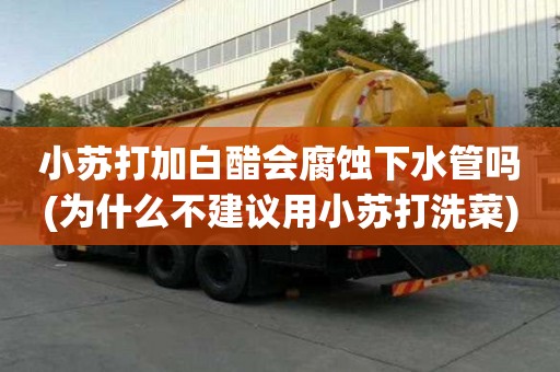 小苏打加白醋会腐蚀下水管吗(为什么不建议用小苏打洗菜)