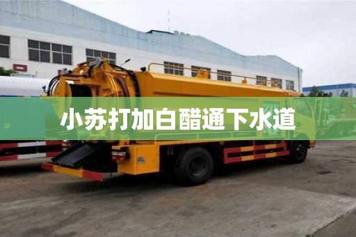 小苏打加白醋通下水道