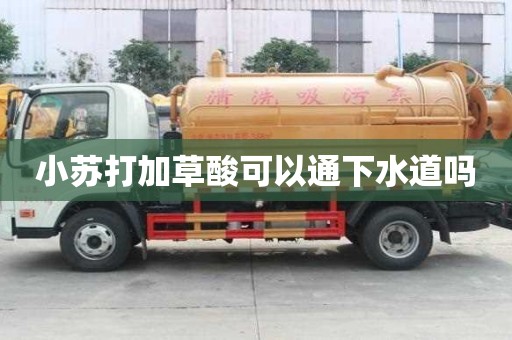 小苏打加草酸可以通下水道吗