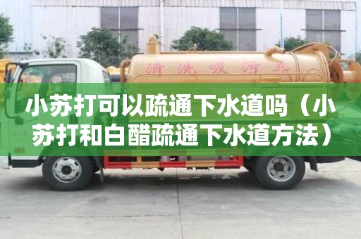 小苏打可以疏通下水道吗（小苏打和白醋疏通下水道方法）