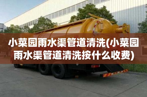小菜园雨水渠管道清洗(小菜园雨水渠管道清洗按什么收费)