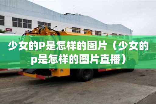 少女的P是怎样的图片（少女的p是怎样的图片直播）