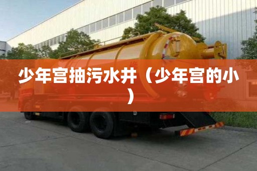 少年宫抽污水井（少年宫的小）
