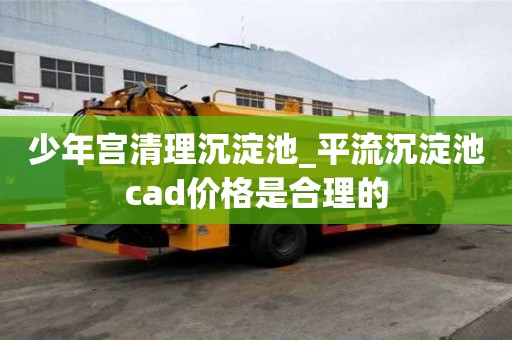 少年宫清理沉淀池_平流沉淀池cad价格是合理的