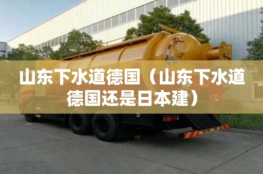 山东下水道德国（山东下水道德国还是日本建）