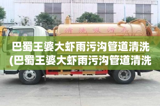 巴蜀王婆大虾雨污沟管道清洗(巴蜀王婆大虾雨污沟管道清洗具体是什么)