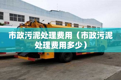 市政污泥处理费用（市政污泥处理费用多少）