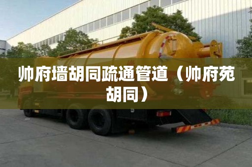 帅府墙胡同疏通管道（帅府苑胡同）