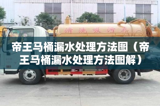 帝王马桶漏水处理方法图（帝王马桶漏水处理方法图解）