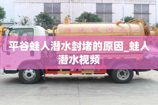 平谷蛙人潜水封堵的原因_蛙人潜水视频
