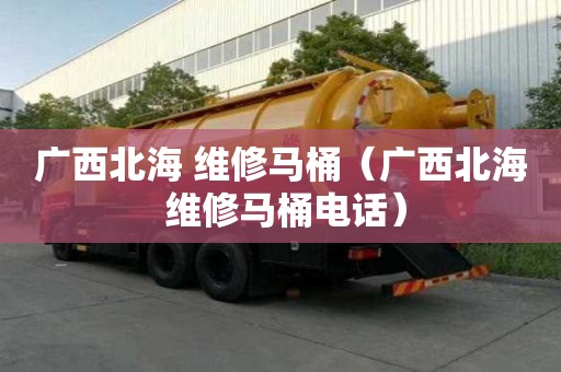 广西北海 维修马桶（广西北海 维修马桶电话）