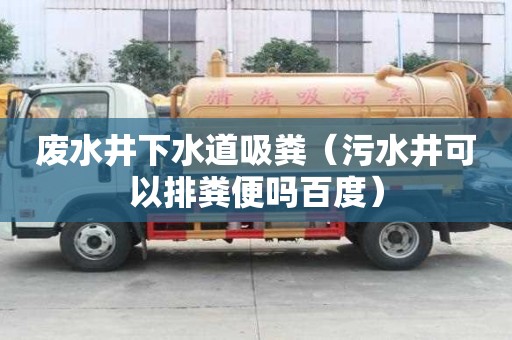 废水井下水道吸粪（污水井可以排粪便吗百度）