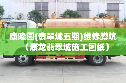 康隆园(翡翠城五期)维修蹲坑（康龙翡翠城施工图纸）