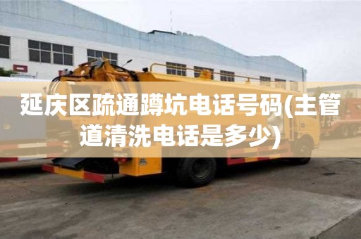 延庆区疏通蹲坑电话号码(主管道清洗电话是多少)