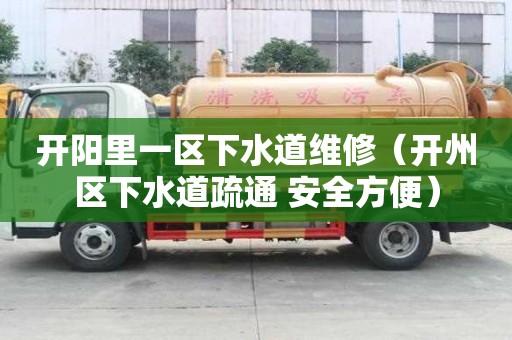 开阳里一区下水道维修（开州区下水道疏通 安全方便）
