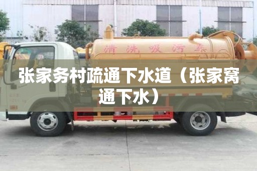 张家务村疏通下水道（张家窝通下水）