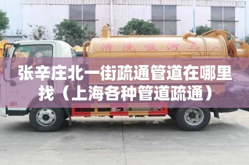 张辛庄北一街疏通管道在哪里找（上海各种管道疏通）