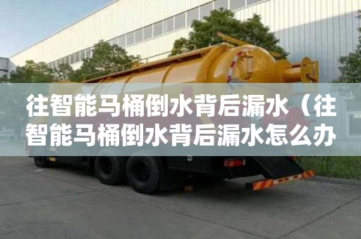 往智能马桶倒水背后漏水（往智能马桶倒水背后漏水怎么办）