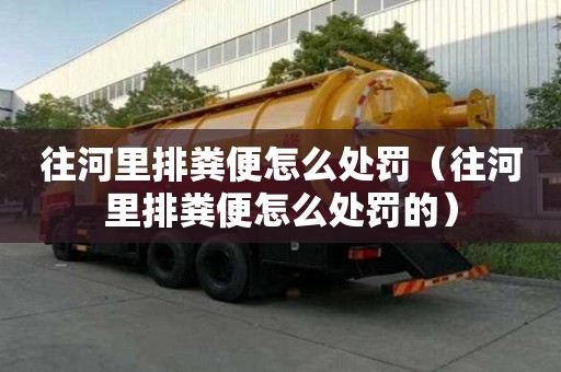 往河里排粪便怎么处罚（往河里排粪便怎么处罚的）
