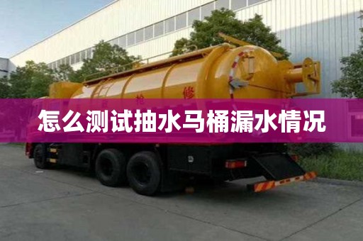 怎么测试抽水马桶漏水情况