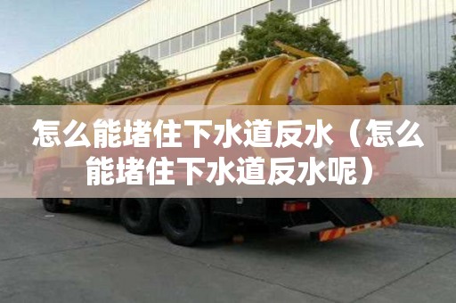 怎么能堵住下水道反水（怎么能堵住下水道反水呢）