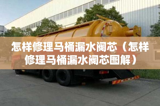 怎样修理马桶漏水阀芯（怎样修理马桶漏水阀芯图解）